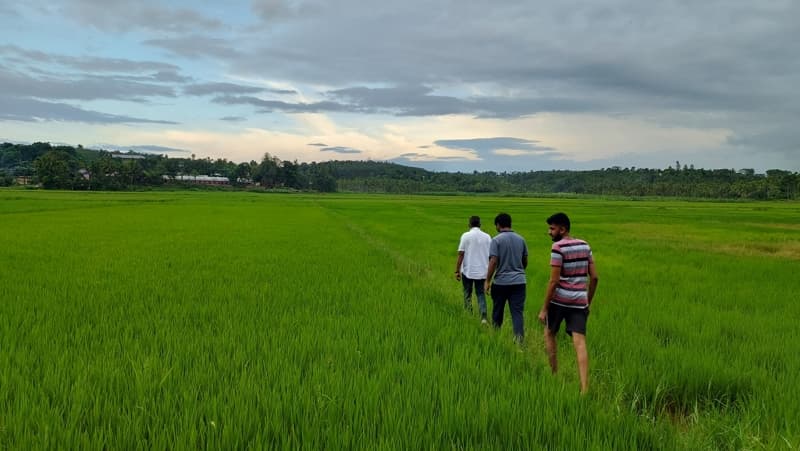 "Tribhuvan" Sahkari University VFS photo 7
